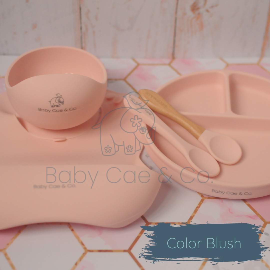 K I T •DE• A L I M E N T A C I O N🍽️