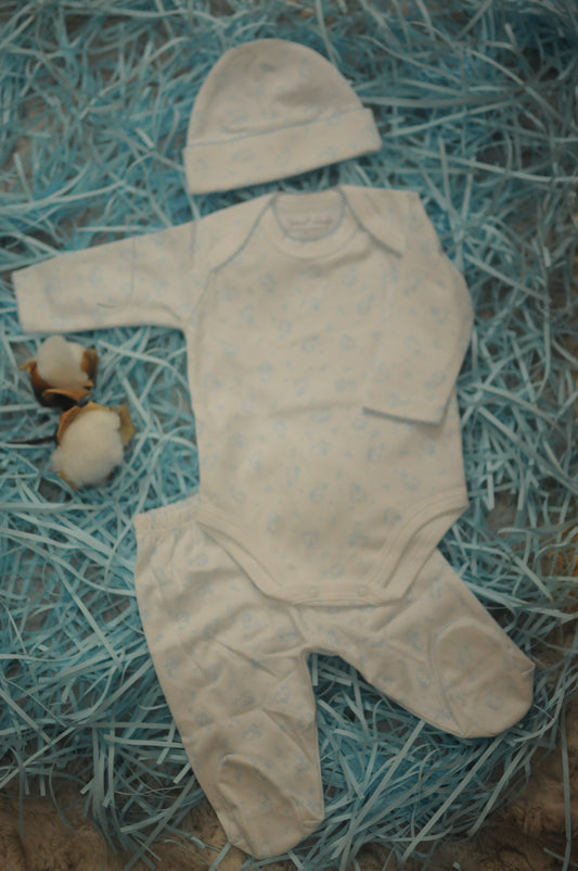 • A J U A R E S •