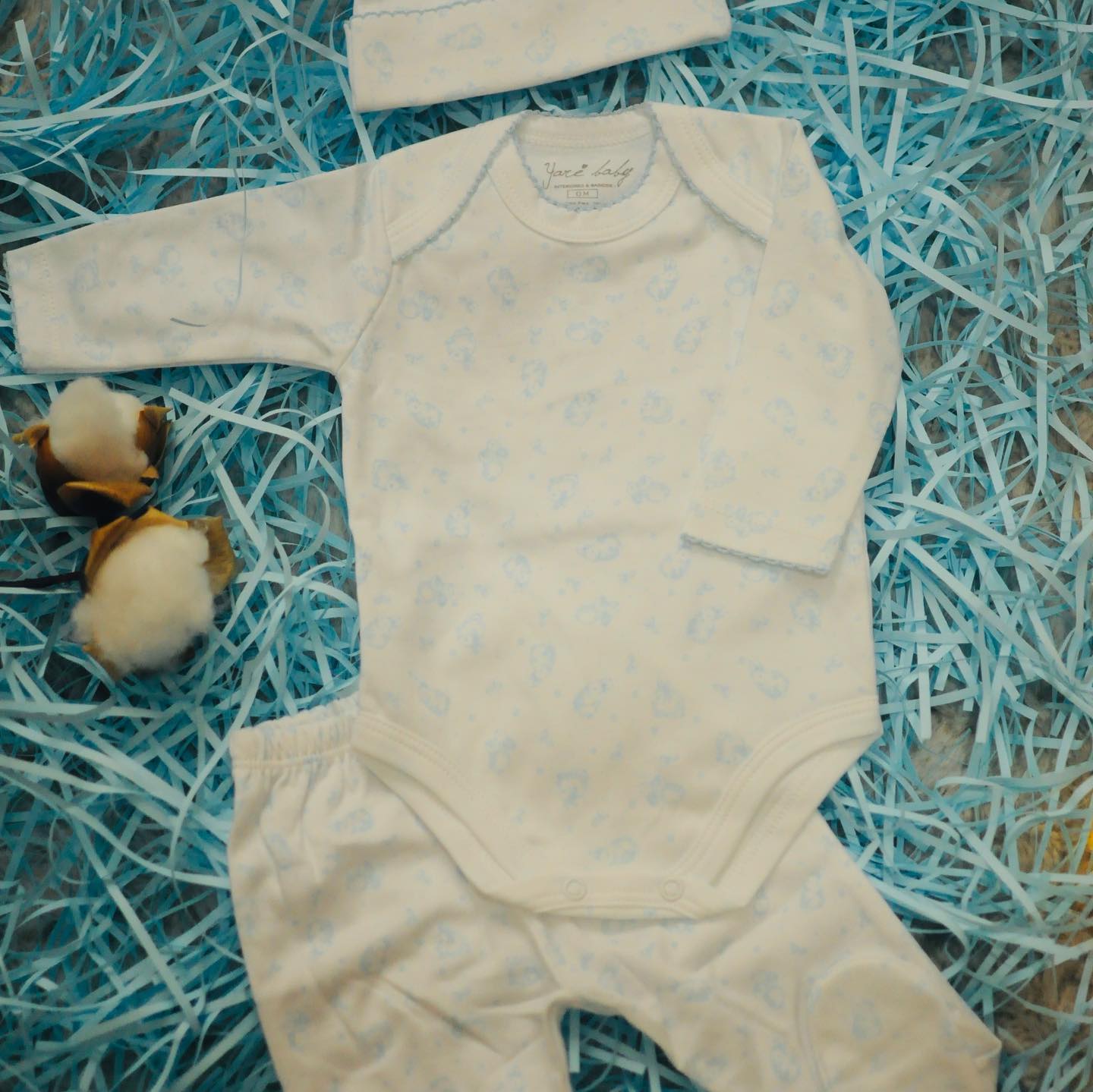 • A J U A R E S •